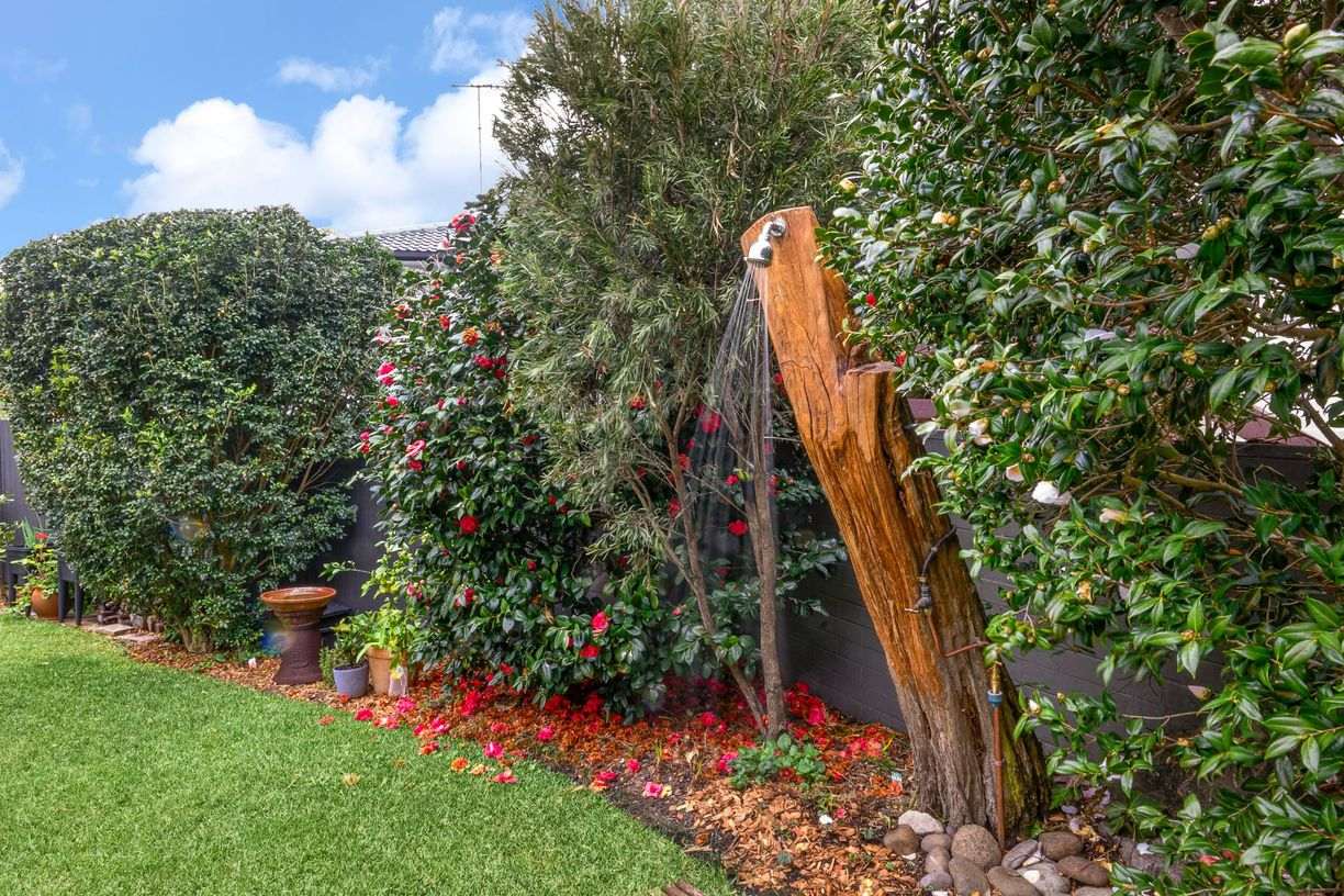41 Greystoke Street — photo 13 of 13