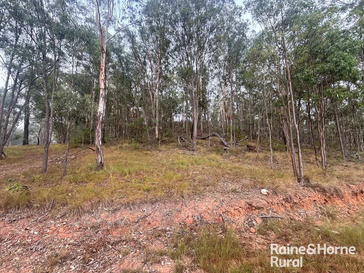 397 Wattle Camp Road — photo 4 of 20