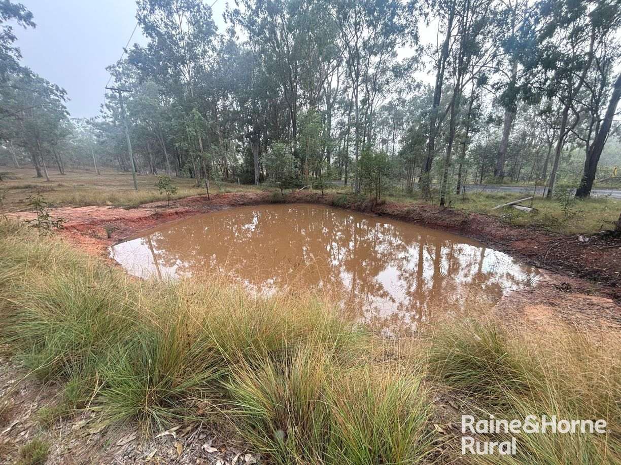 397 Wattle Camp Road — photo 6 of 20