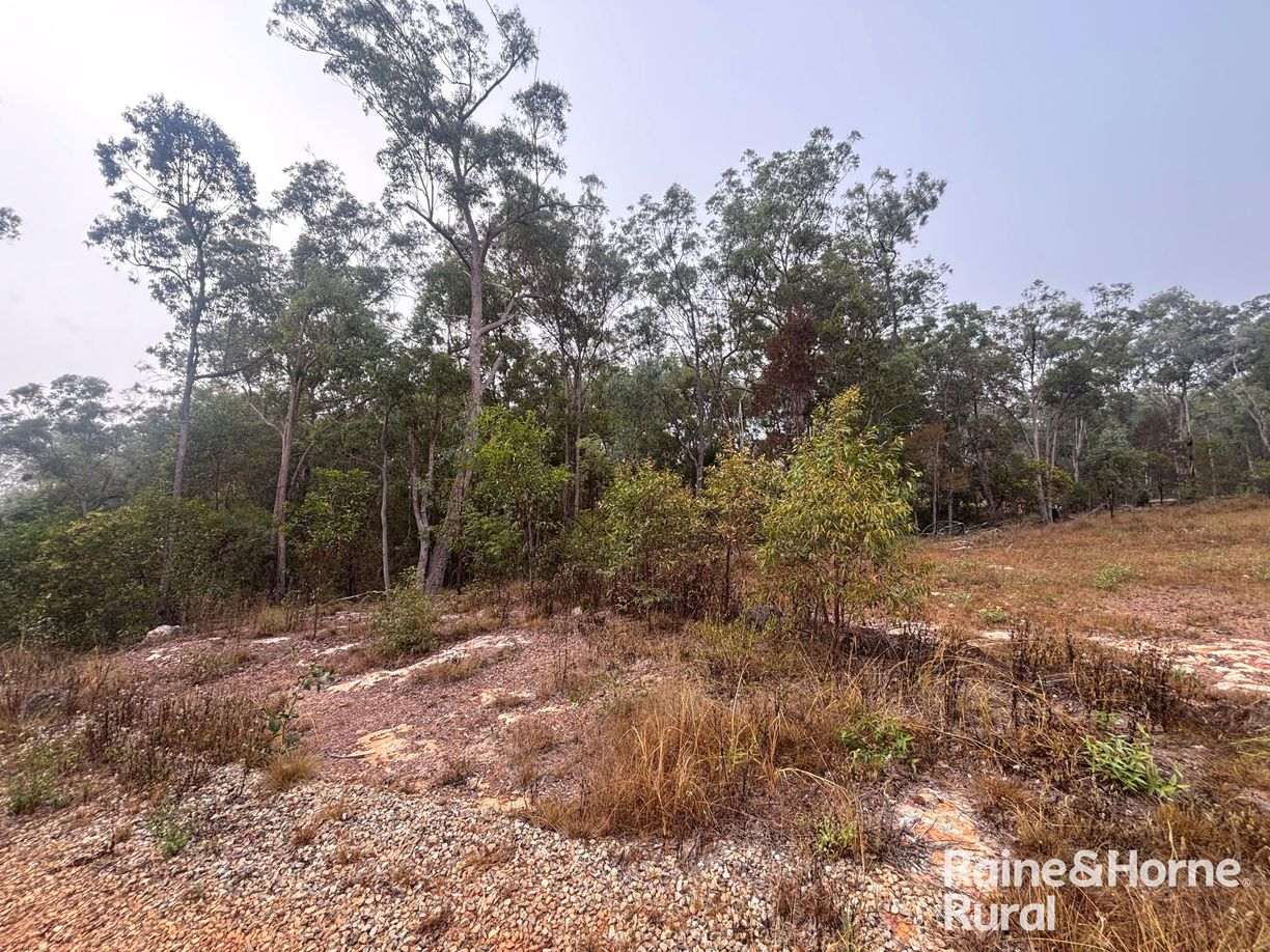 397 Wattle Camp Road — photo 11 of 20