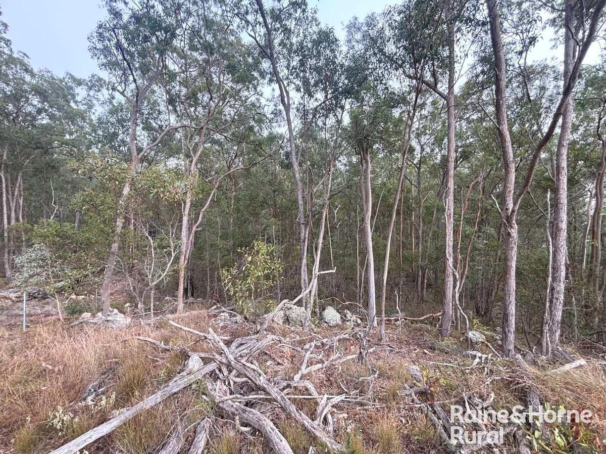 397 Wattle Camp Road — photo 9 of 20