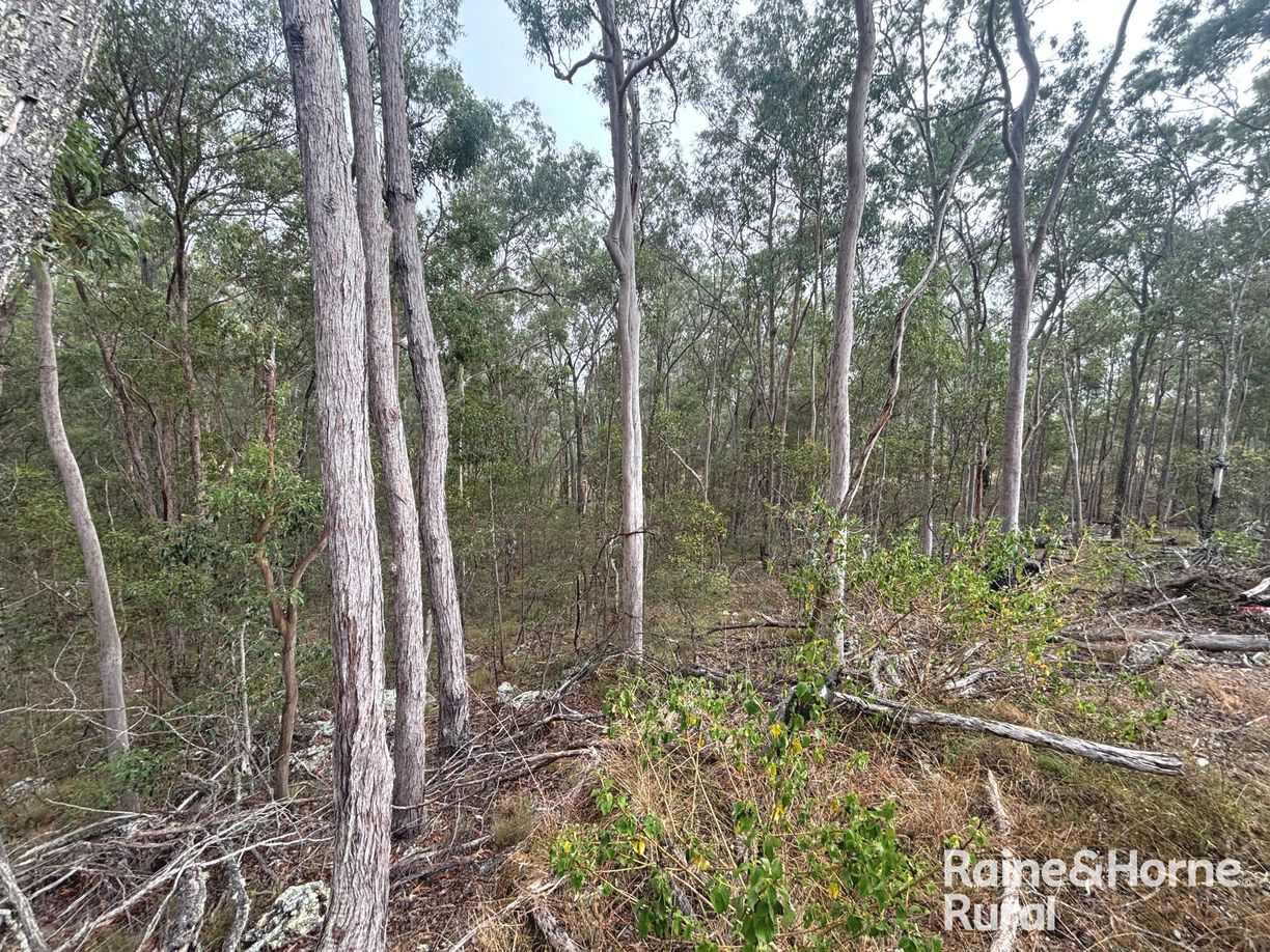397 Wattle Camp Road — photo 13 of 20