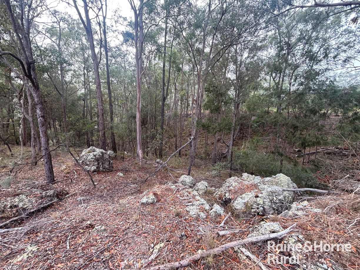 397 Wattle Camp Road — photo 17 of 20