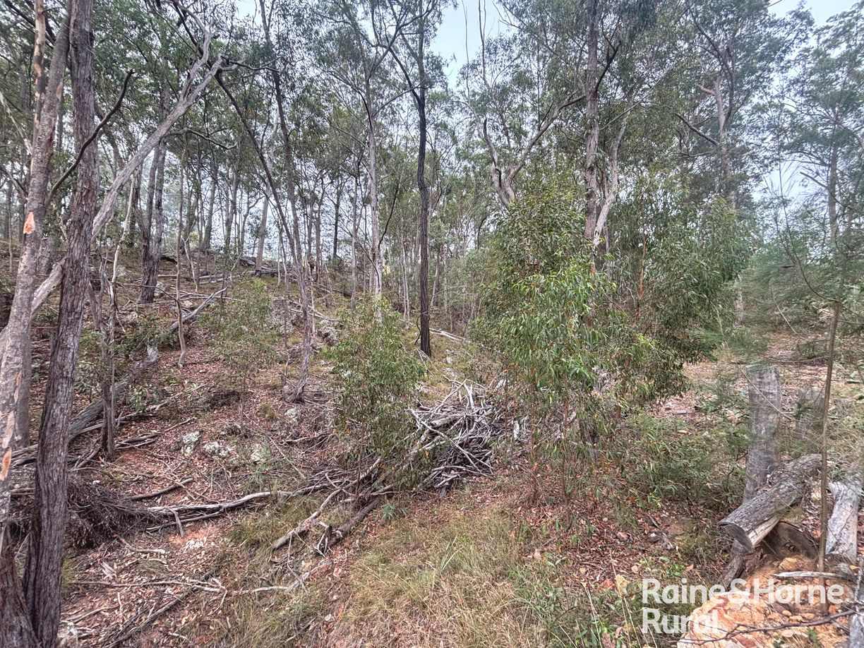 397 Wattle Camp Road — photo 18 of 20