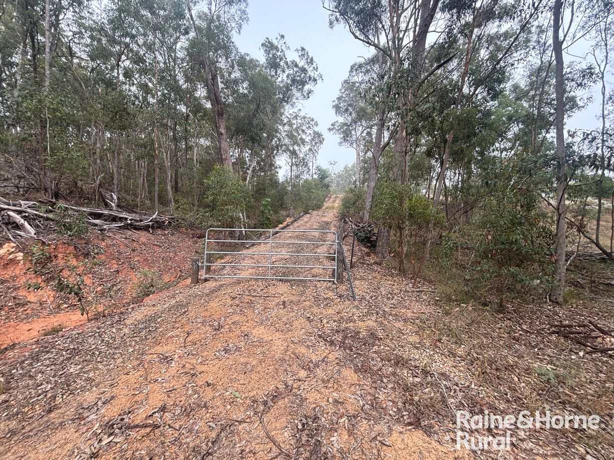 397 Wattle Camp Road — photo 8 of 20
