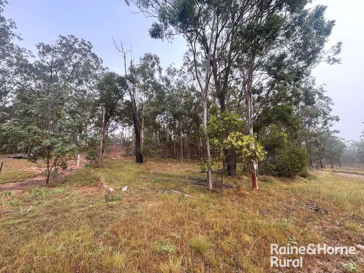 397 Wattle Camp Road — photo 19 of 20