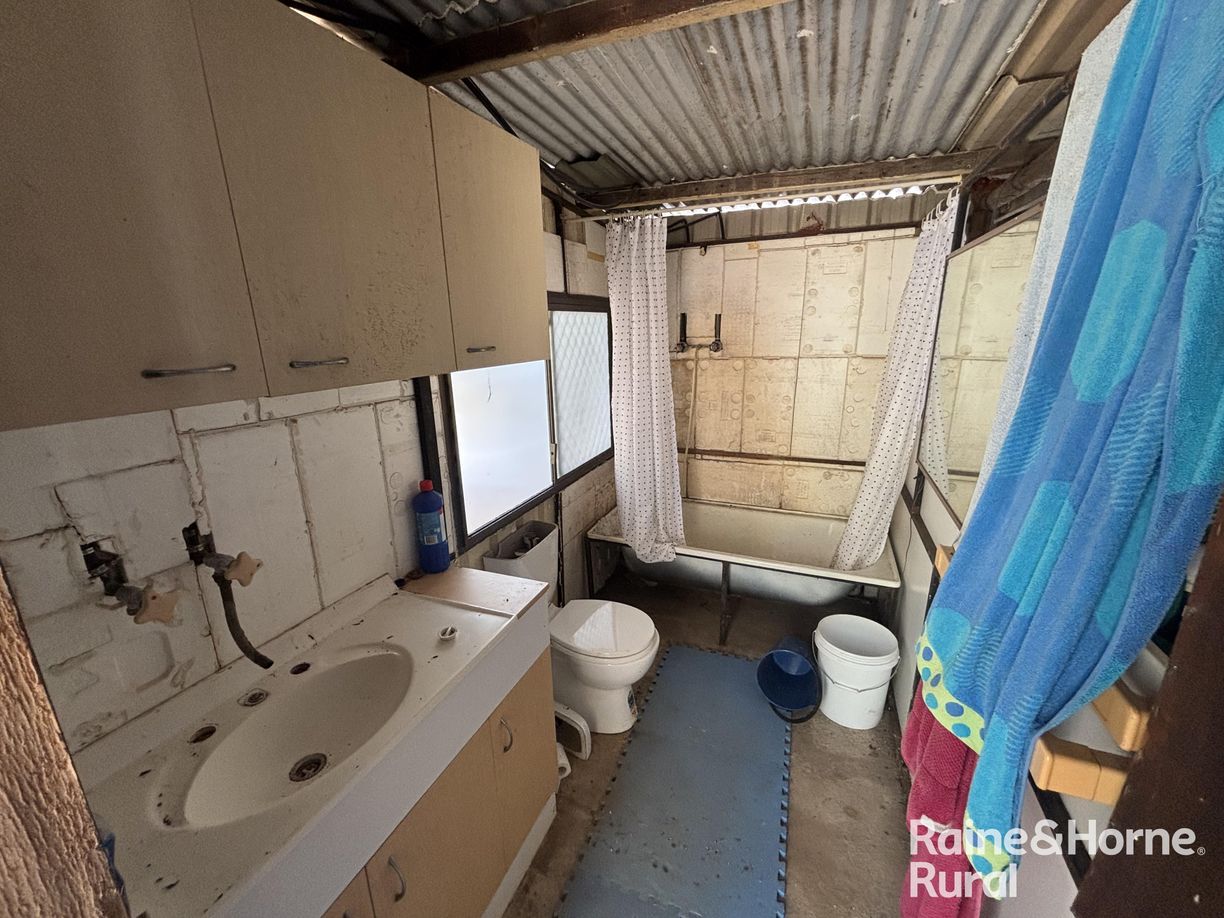 31 Mcnicholl — photo 11 of 24
