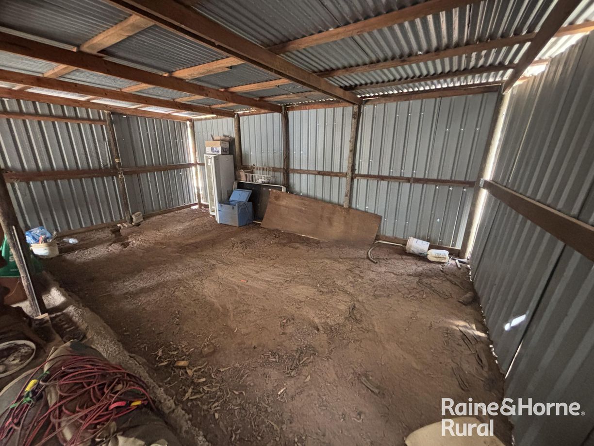 31 Mcnicholl — photo 12 of 24