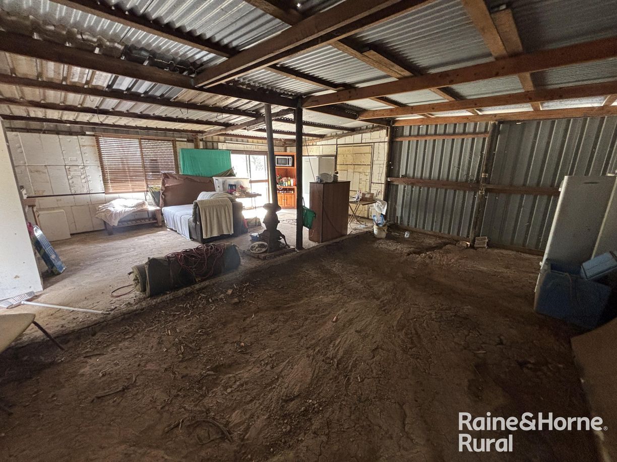 31 Mcnicholl — photo 13 of 24