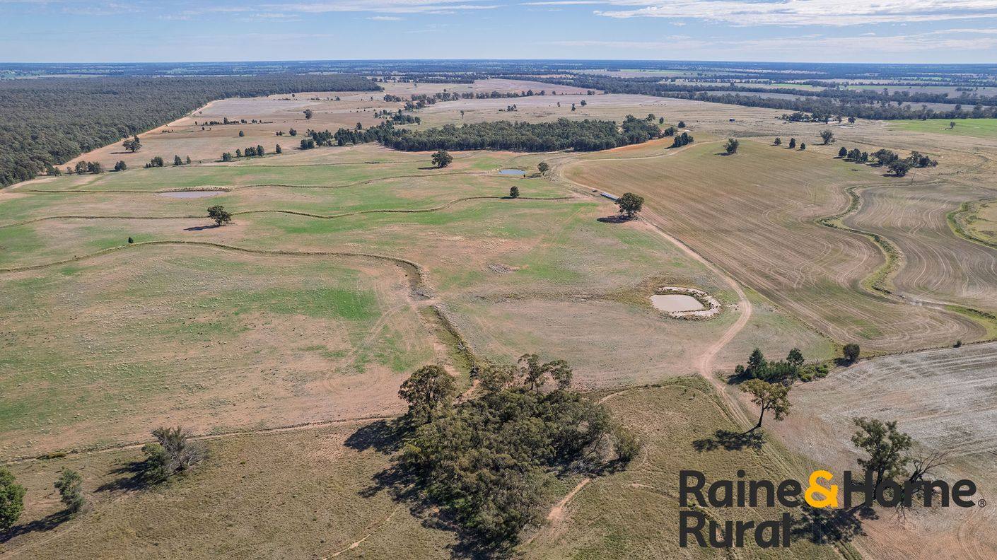 1186 Newell Highway — photo 15 of 21