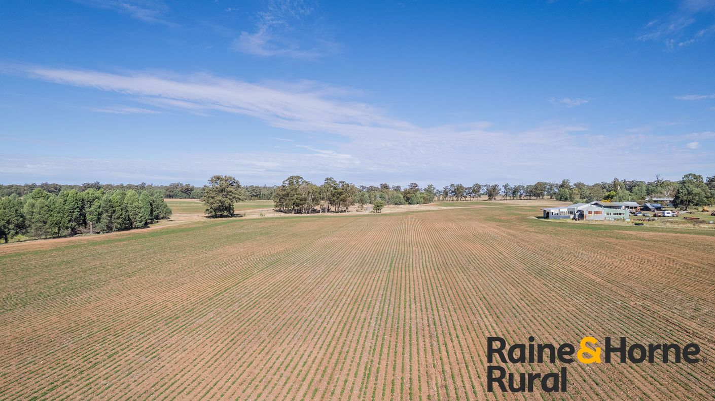 1186 Newell Highway — photo 16 of 21
