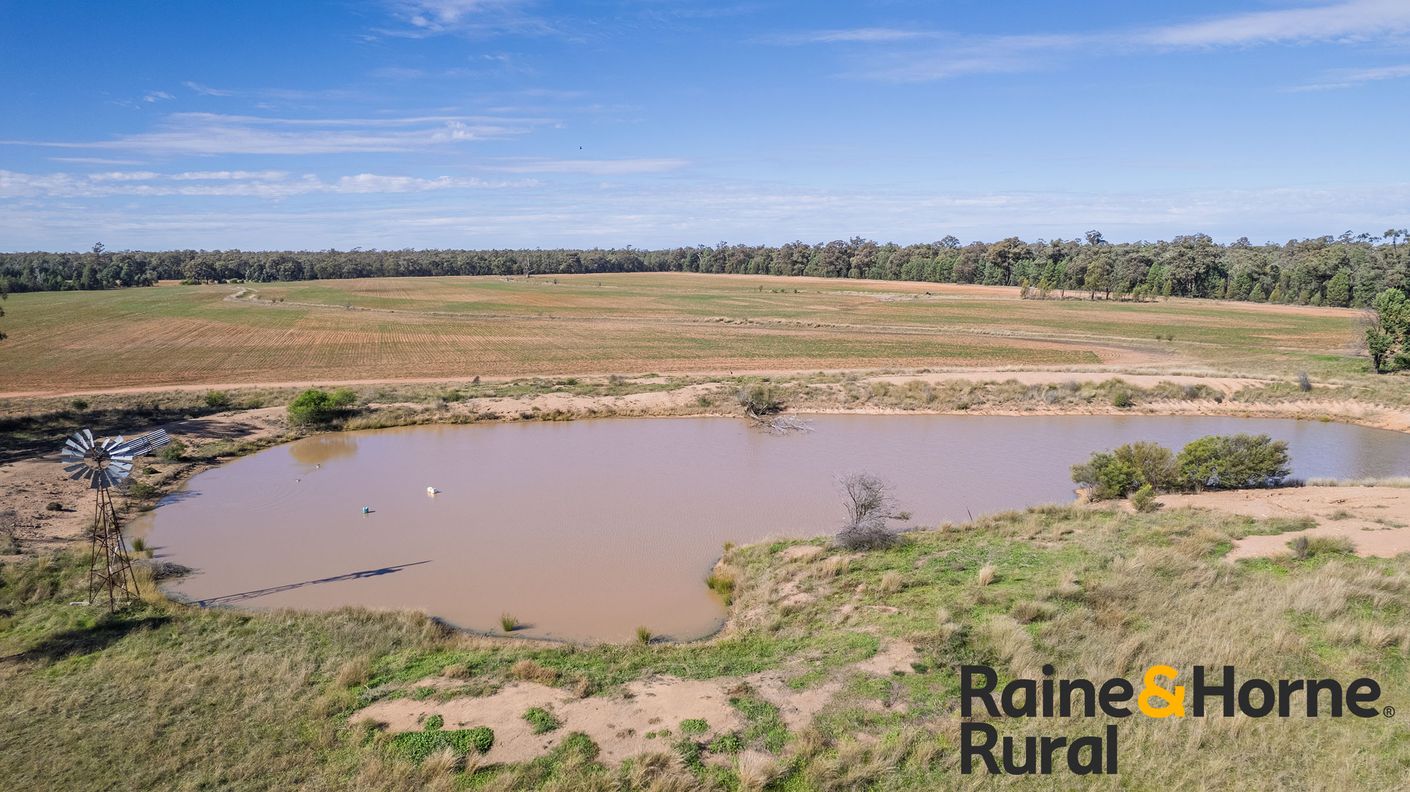 1186 Newell Highway — photo 17 of 21