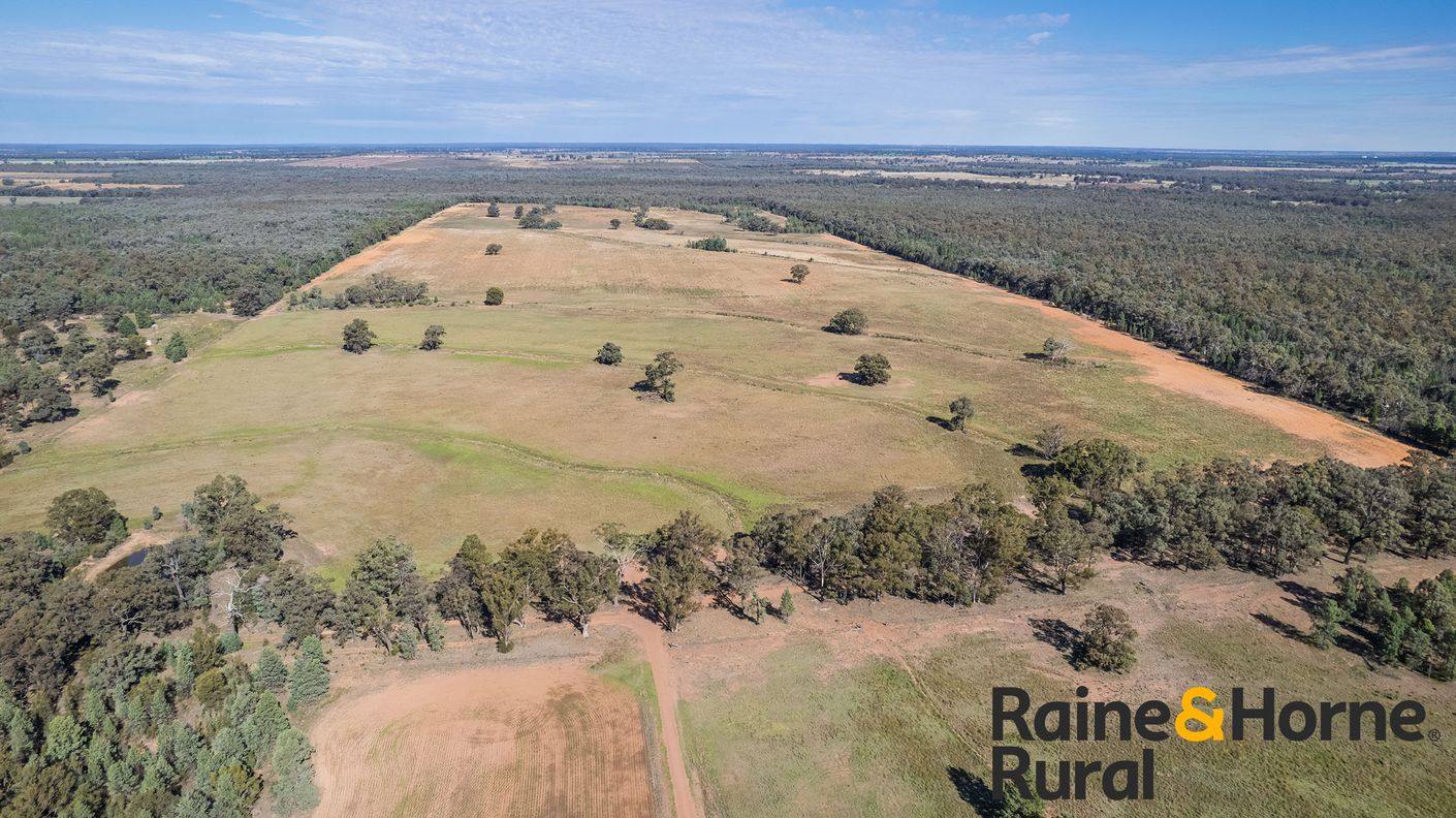 1186 Newell Highway — photo 19 of 21