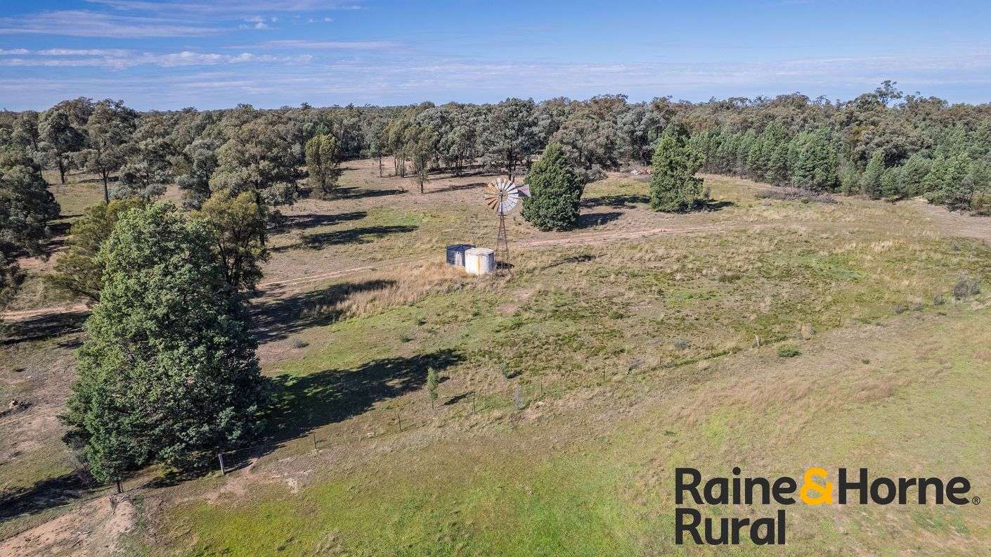 1186 Newell Highway — photo 20 of 21