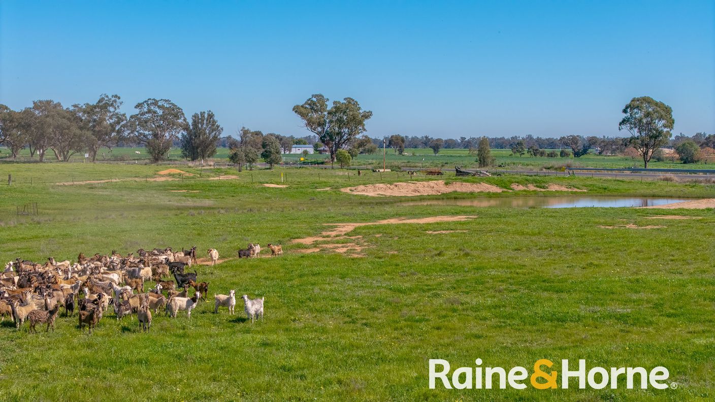 169L Narromine Road — photo 13 of 18