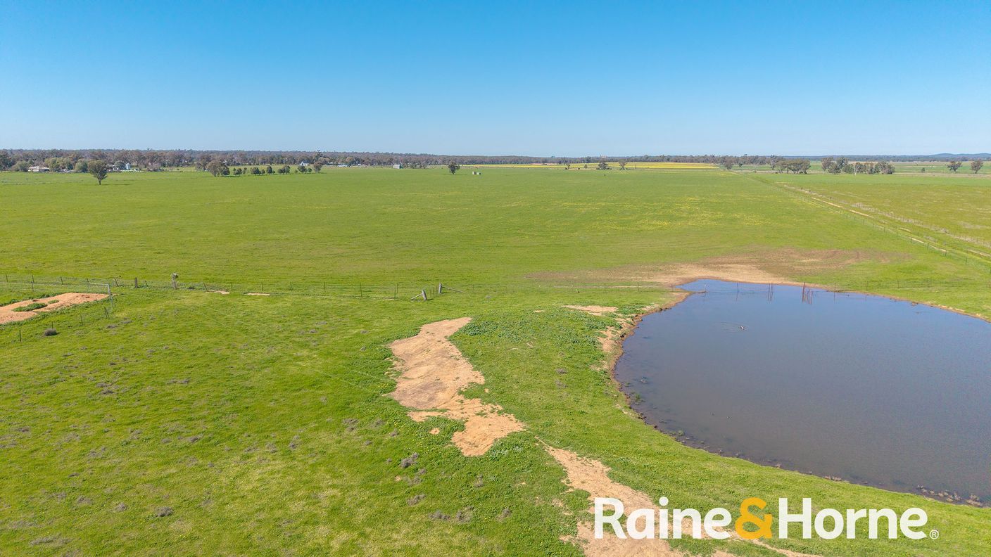 169L Narromine Road — photo 14 of 18