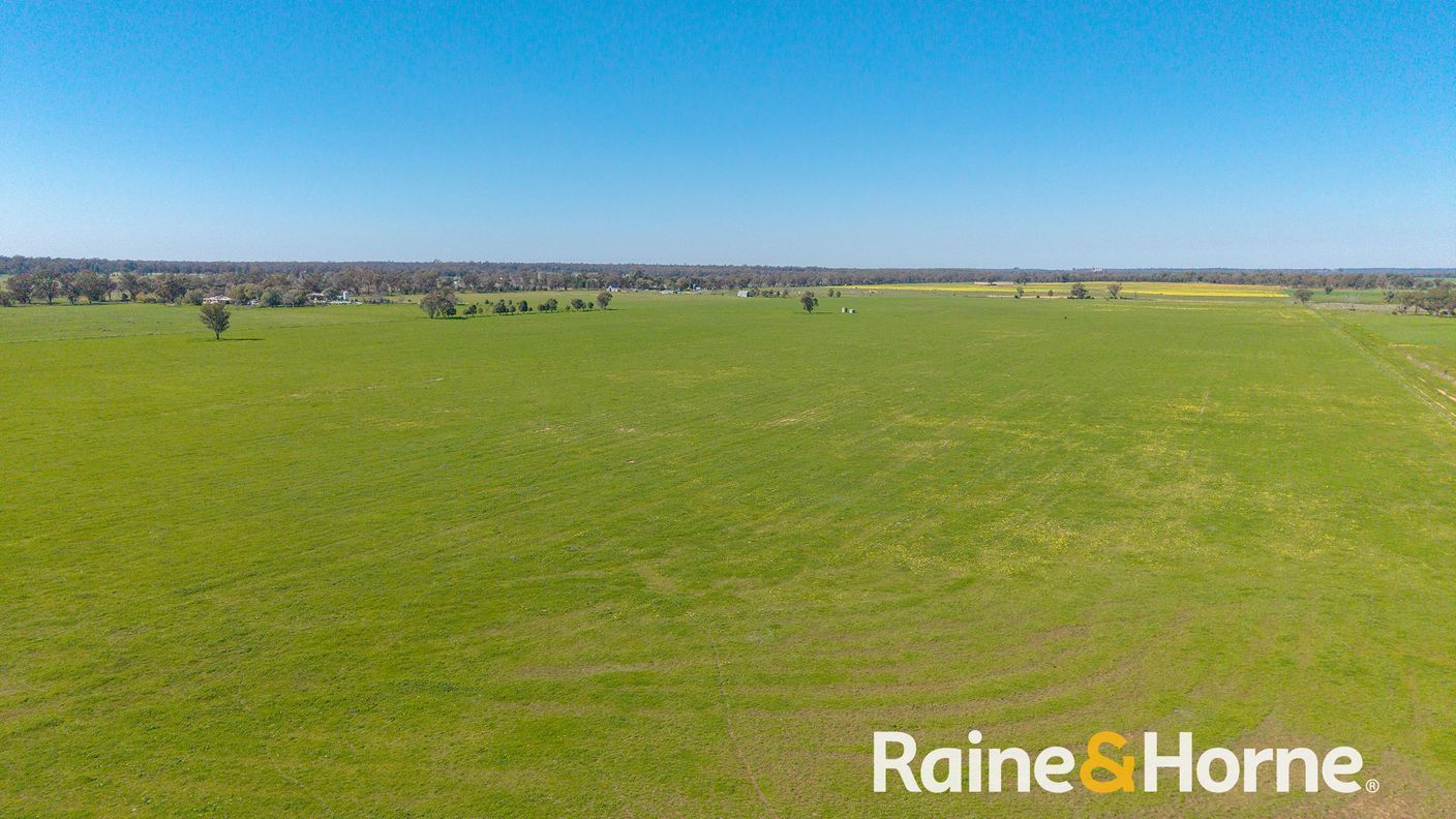 169L Narromine Road — photo 16 of 18
