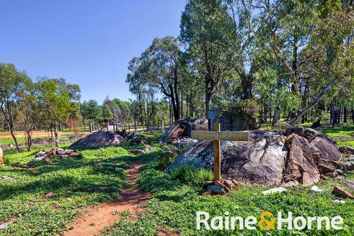 8105 Newell Highway — photo 21 of 30