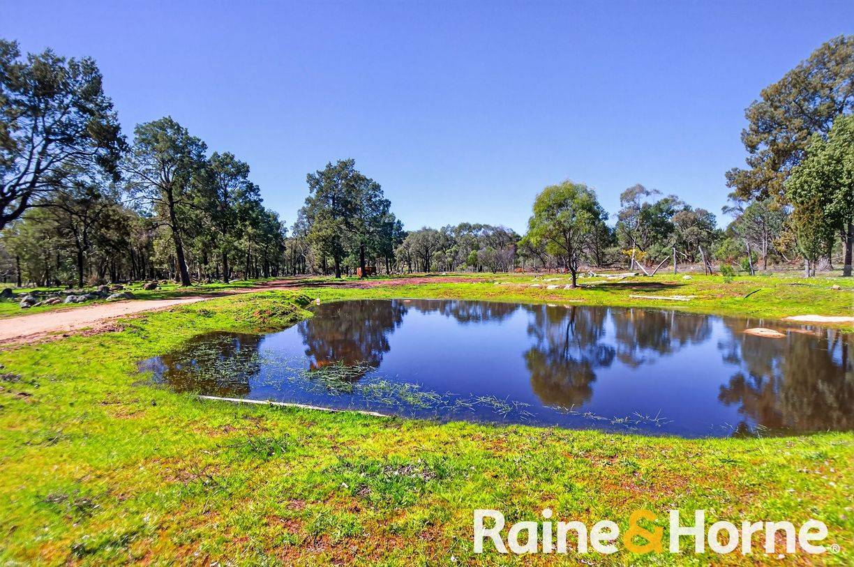 8105 Newell Highway — photo 24 of 30
