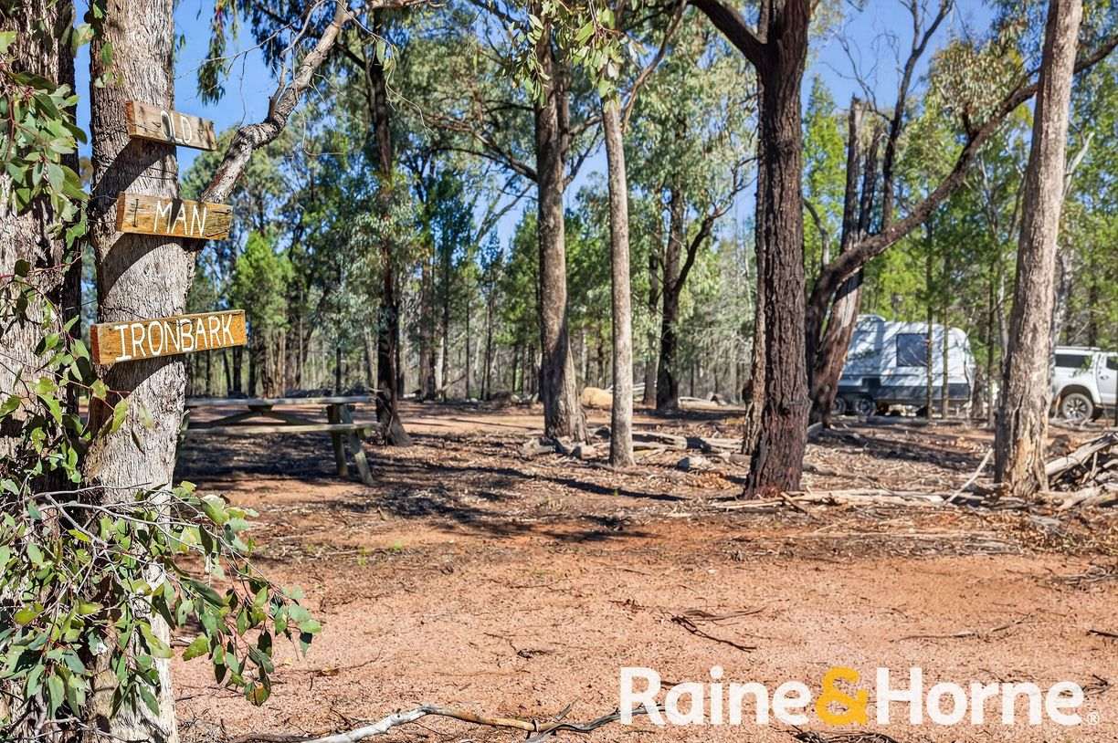 8105 Newell Highway — photo 26 of 30