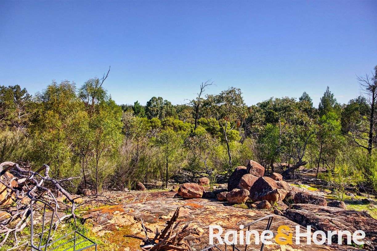 8105 Newell Highway — photo 27 of 30