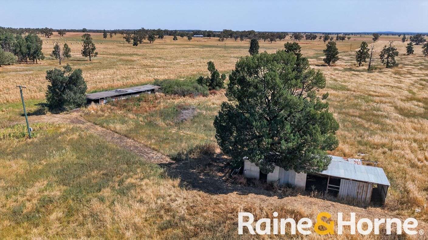 4617 Newell Highway — photo 14 of 15