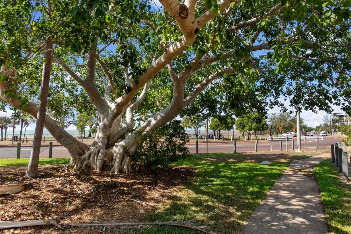 12/272 Casuarina Drive — photo 21 of 22