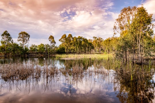 Kingsley Grove Estate, 49 Stuart Valley Drive — photo from Raine & Horne Brisbane Central