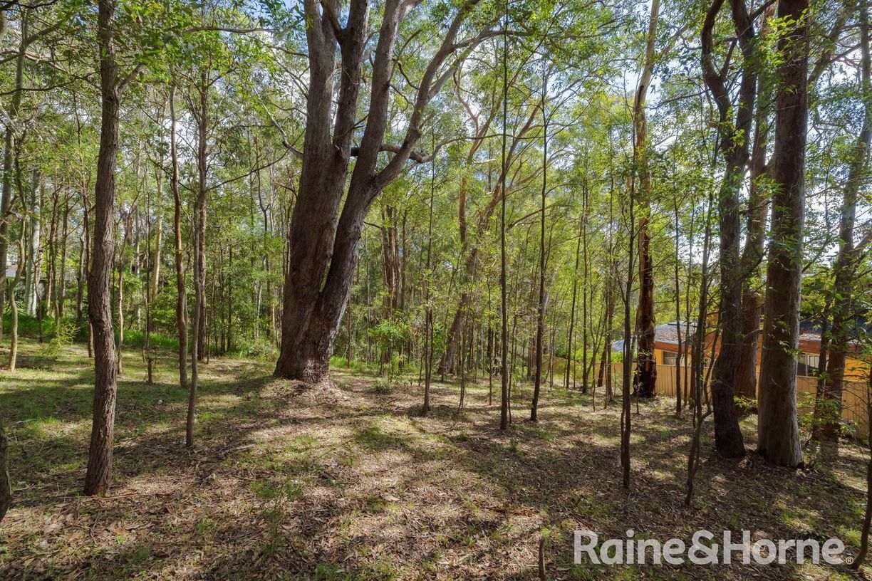 11 Bellinger Close — photo 8 of 18
