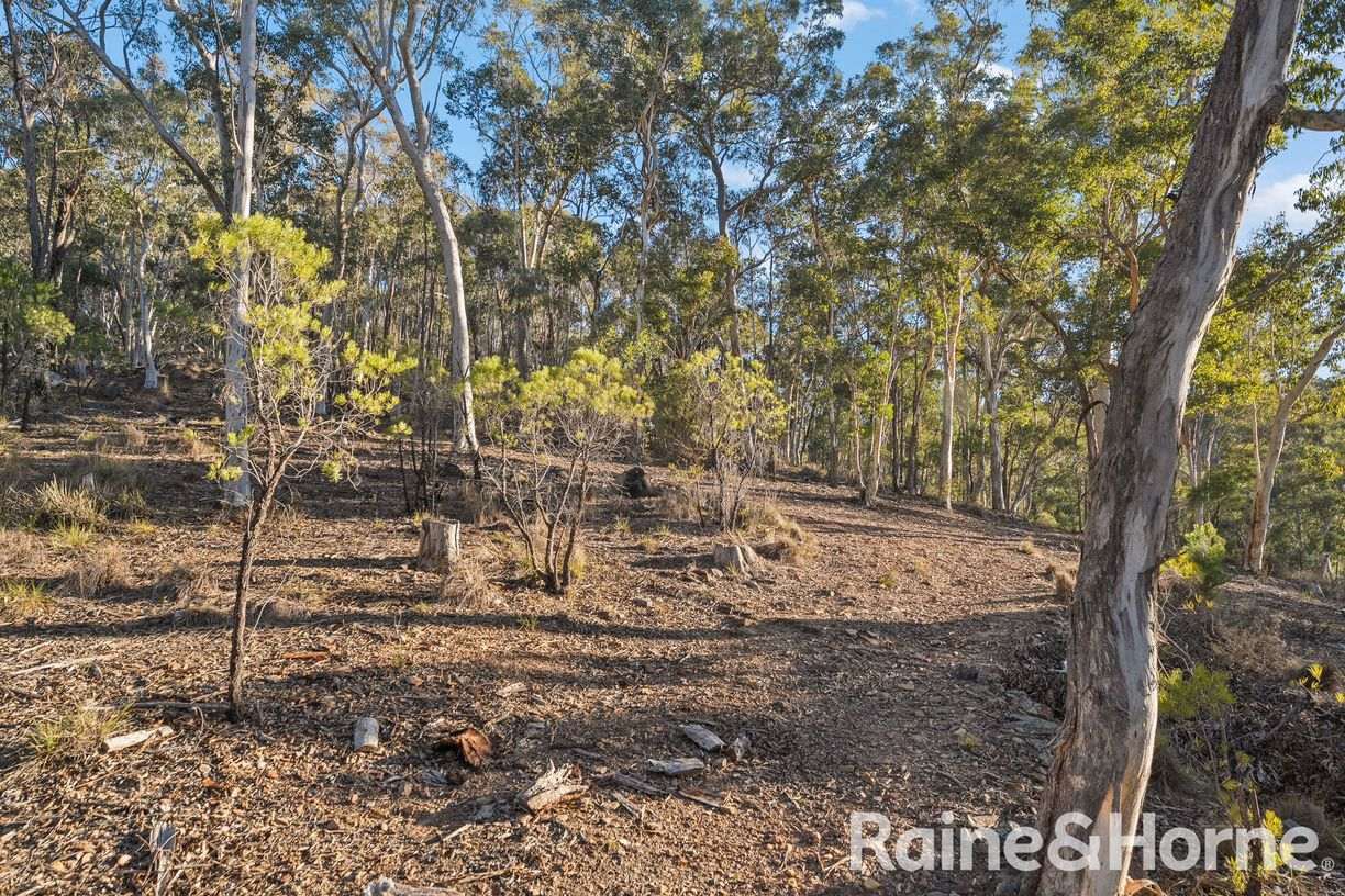 446 Green Gully Road Green Gully via — photo 28 of 30