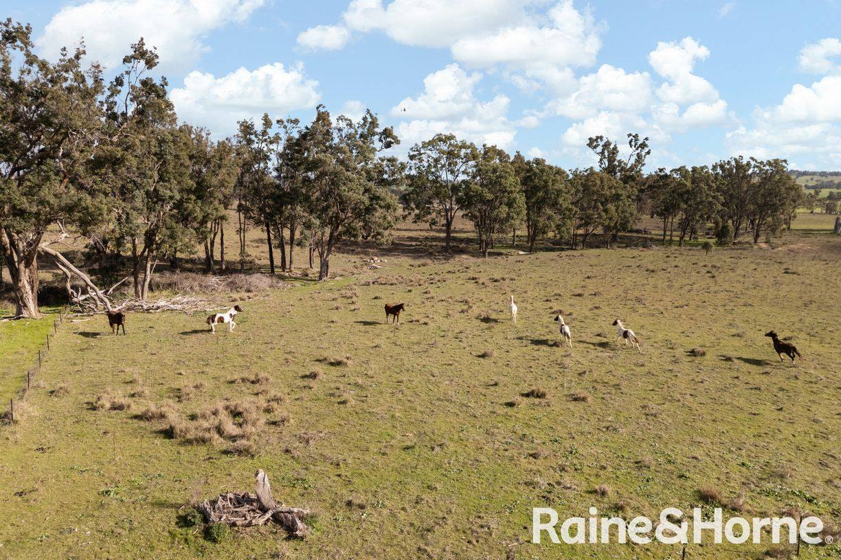 1770 Ulan Road, Frog Rock — photo 17 of 28