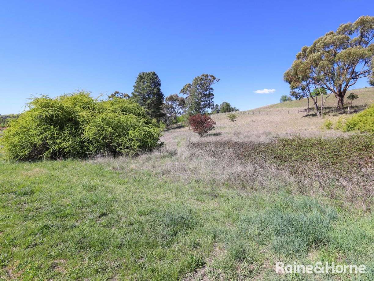 1 Naylor Street — photo from Raine & Horne