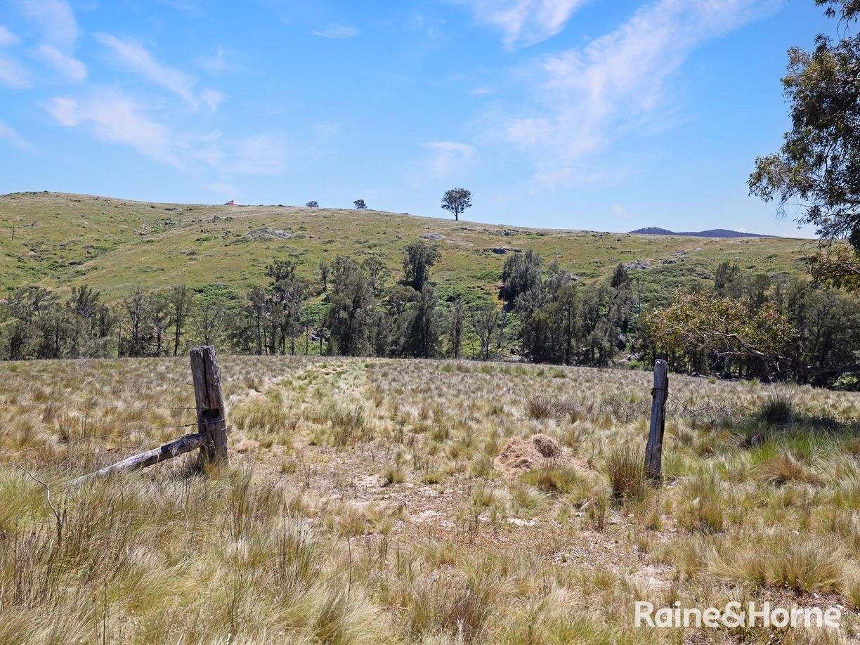1988 Freemantle Road — photo 13 of 18