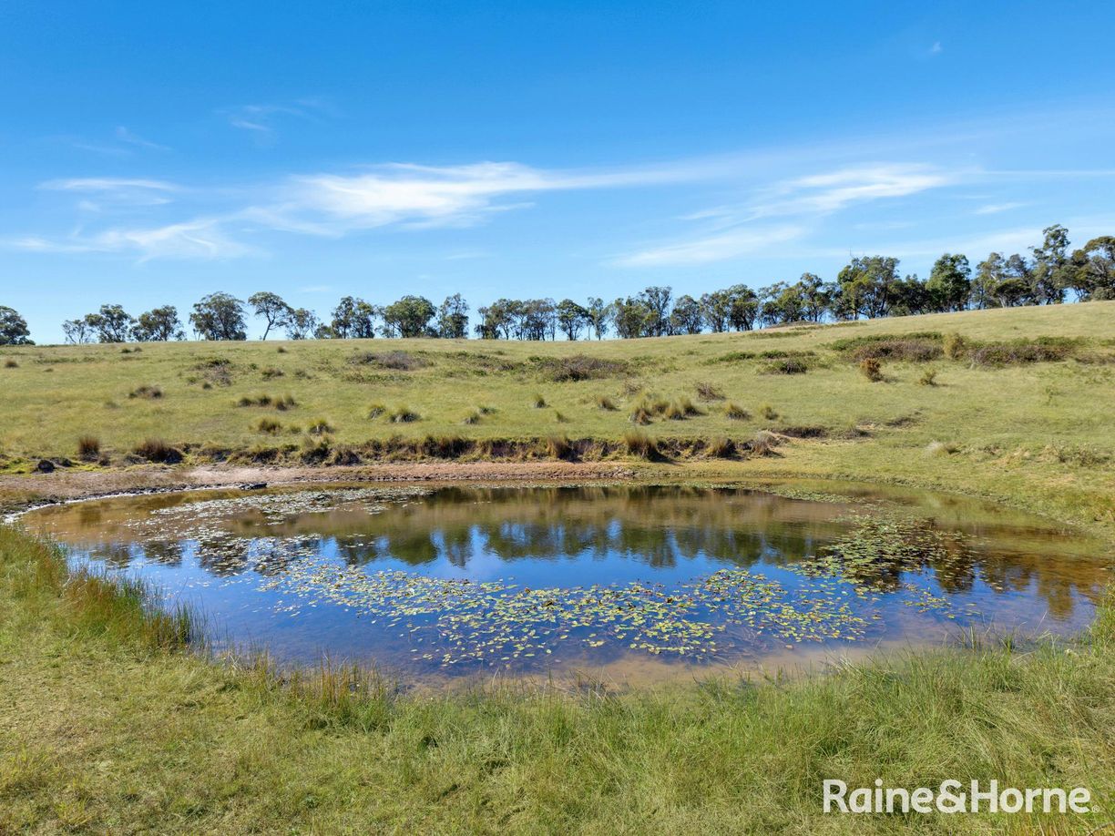 Meadow Flat NSW — photo 5 of 15