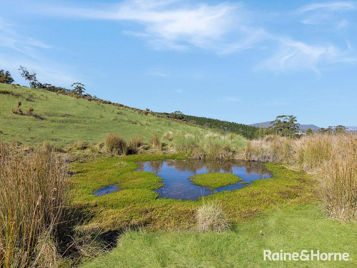 Meadow Flat NSW — photo 6 of 15