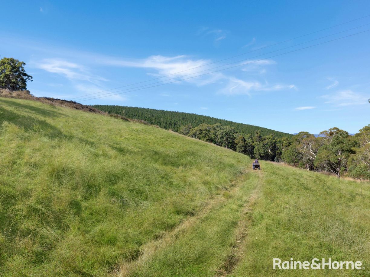 Meadow Flat NSW — photo 9 of 15