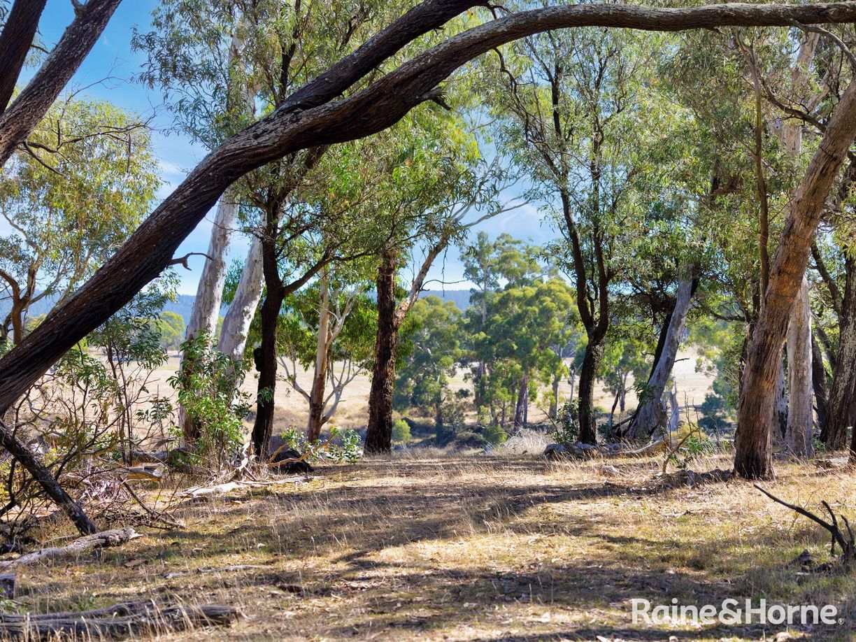 Meadow Flat NSW — photo 10 of 15