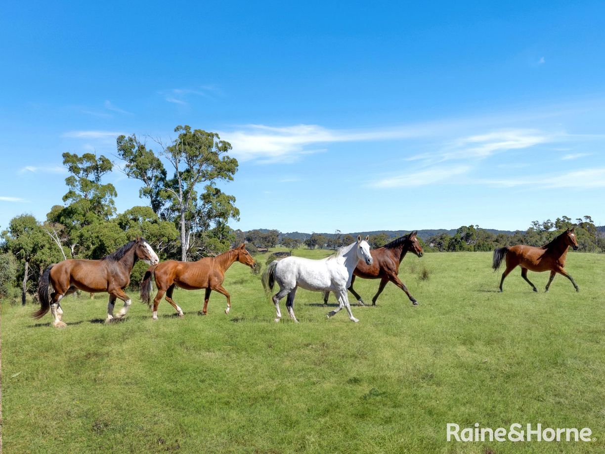 Meadow Flat NSW — photo 12 of 15