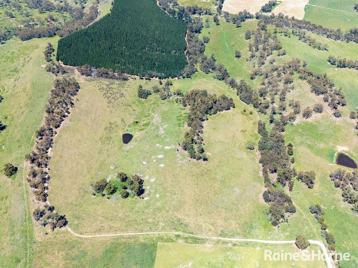 Meadow Flat NSW — photo 14 of 15
