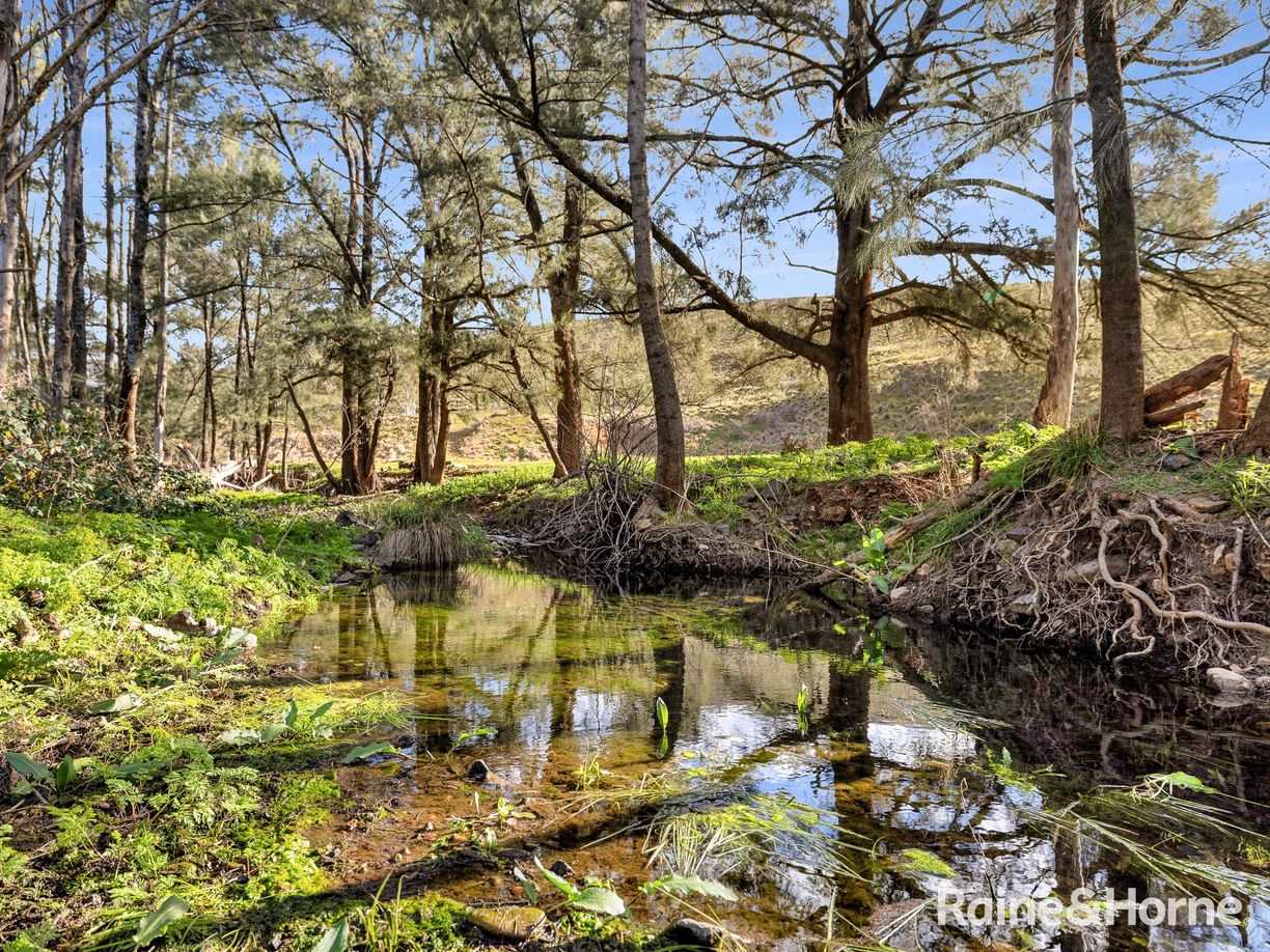 1302 Red Hill Road — photo 4 of 25