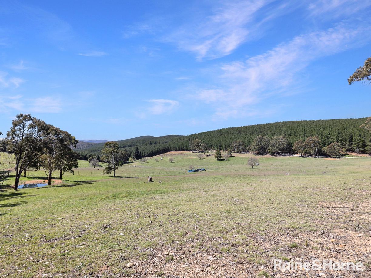 Lot 29 Mount Homer Road — photo from Raine & Horne