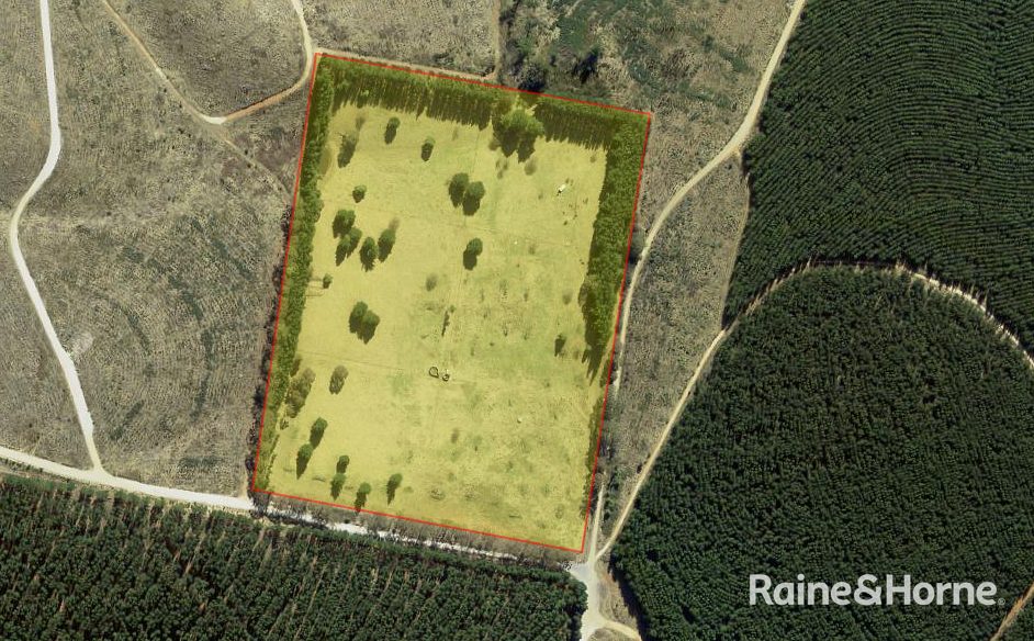 Lot 29 Mount Homer Road — photo 2 of 26