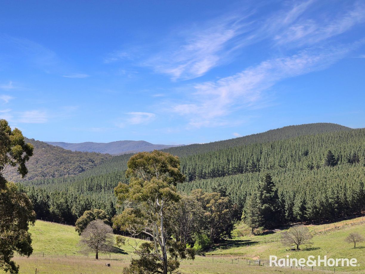 Lot 29 Mount Homer Road — photo 3 of 26