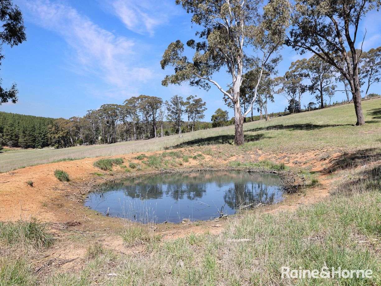Lot 29 Mount Homer Road — photo 4 of 26