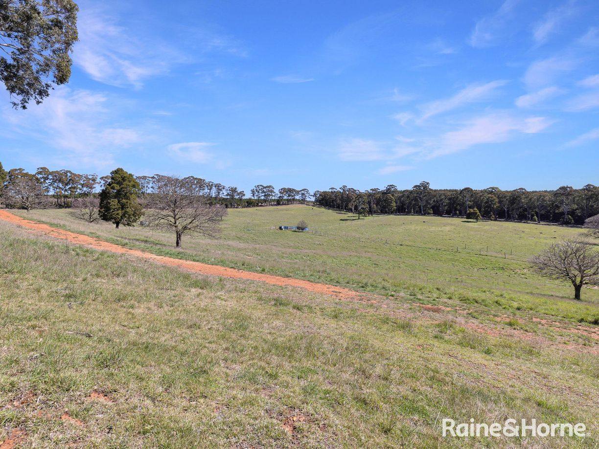 Lot 29 Mount Homer Road — photo 5 of 26