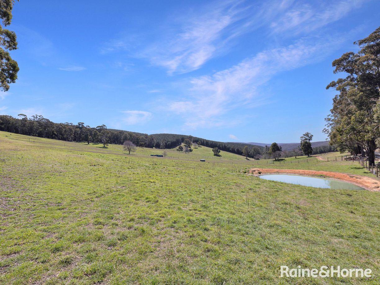 Lot 29 Mount Homer Road — photo 6 of 26