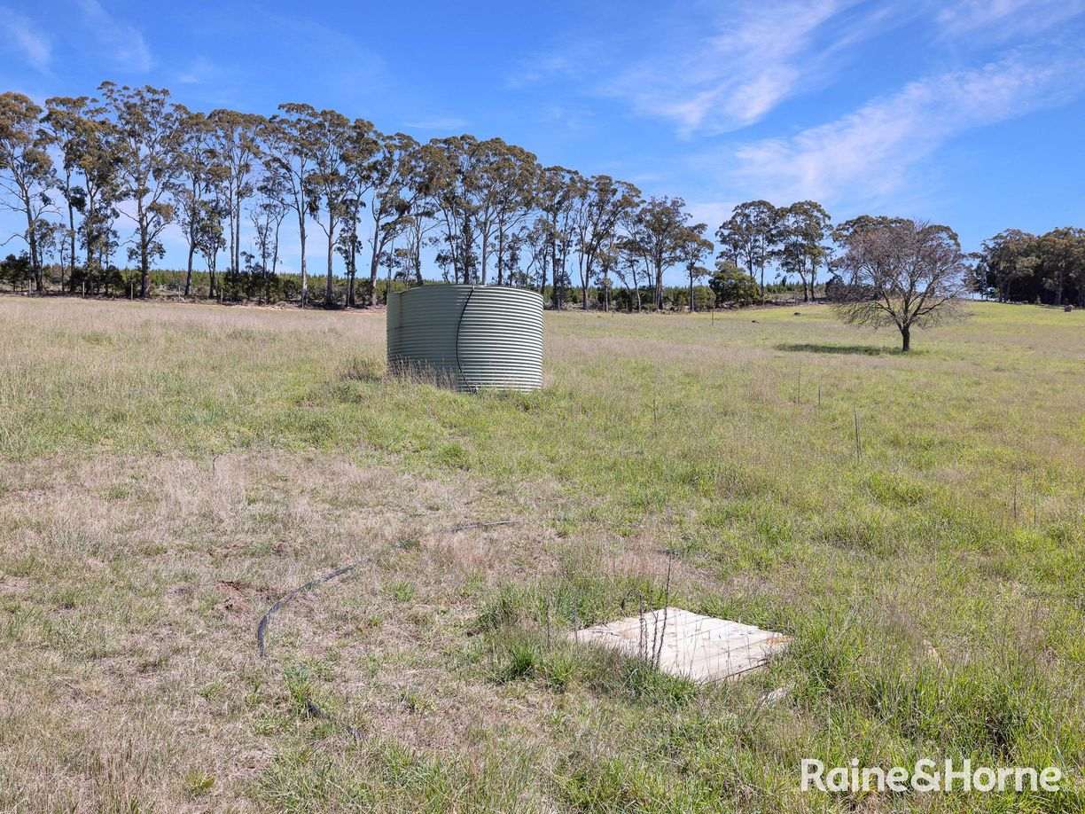 Lot 29 Mount Homer Road — photo 7 of 26