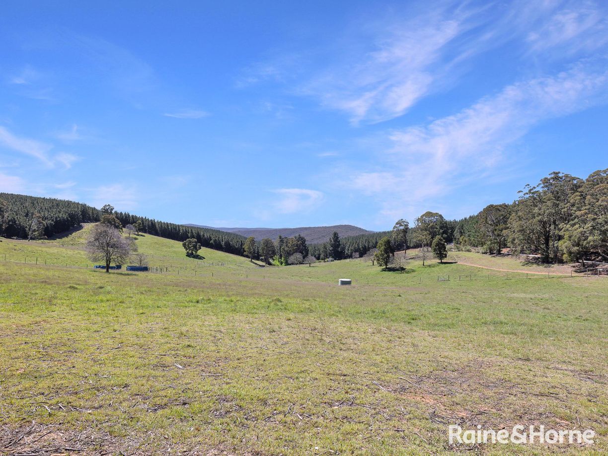 Lot 29 Mount Homer Road — photo 8 of 26