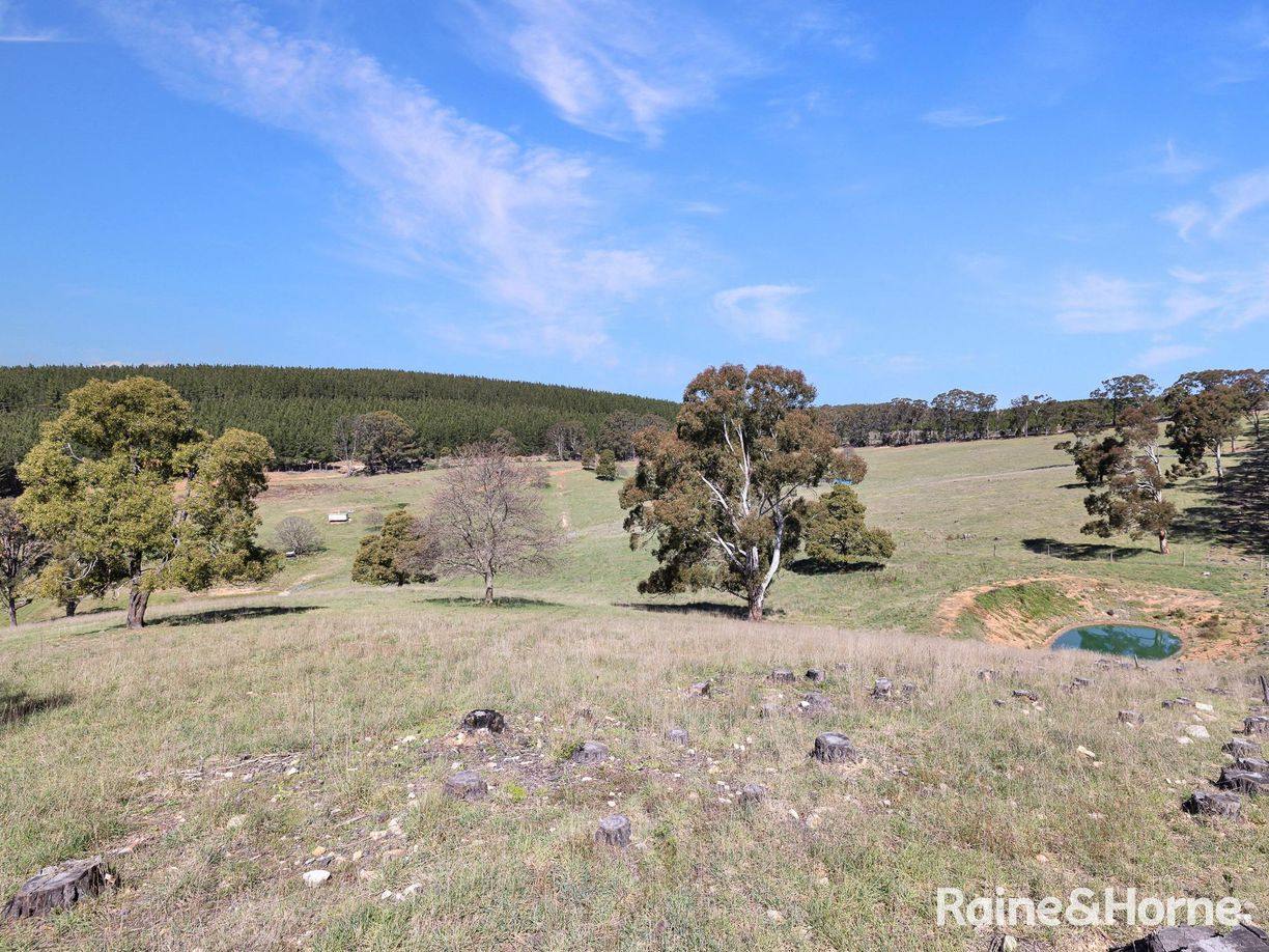 Lot 29 Mount Homer Road — photo 10 of 26