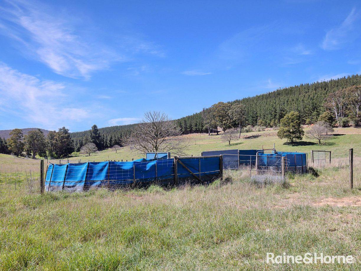 Lot 29 Mount Homer Road — photo 12 of 26